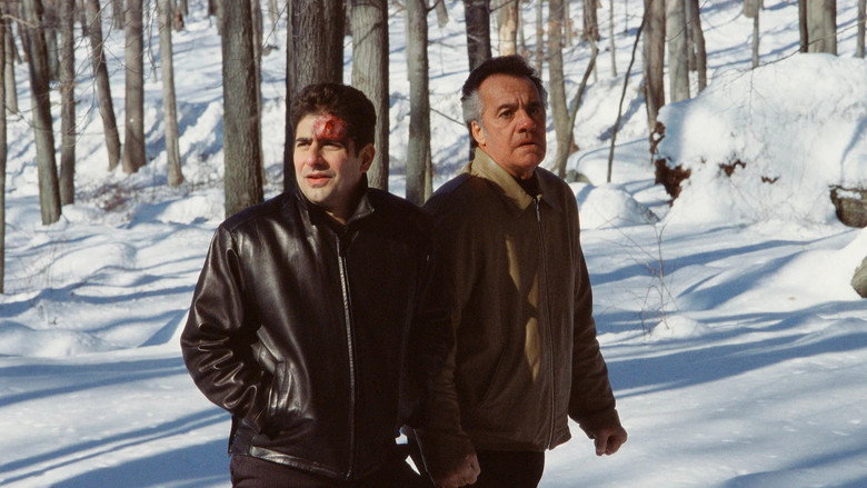 3x11 Pine Barrens